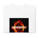 aperfectcircle-merdenoms-2