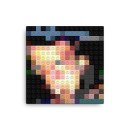 deftones-aroundthefur-4