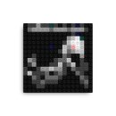 ladygaga-bornthisway-4