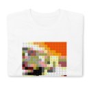 ledzeppelin-housesoftheholy-2