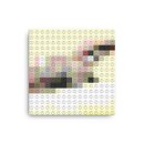 beastieboys-licensedtoill-4