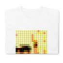 nin-thedownwardspiral-2