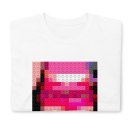 peaches-theteachesofpeaches-2