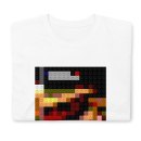 redsnapper-oaitsrs-2