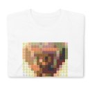 rodstewart-everypicturetellsastory-2