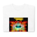 superfurryanimals-ringsaroundtheworld-2