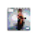 tinaturner-privatedancer-4